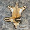 Red Fox Full Rug Taxidermy Mount For Sale - Image 10