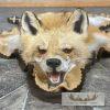 Red Fox Full Rug Taxidermy Mount For Sale - Image 4