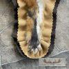 Red Fox Full Rug Taxidermy Mount For Sale - Image 7