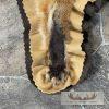 Red Fox Full Rug Taxidermy Mount For Sale - Image 9