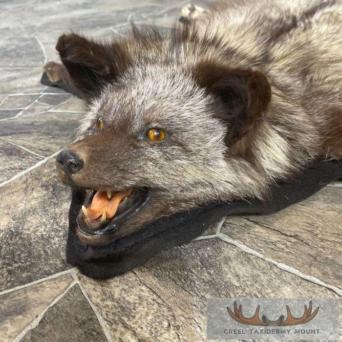 Cross Fox Full Rug Taxidermy Mount For Sale - Image 5