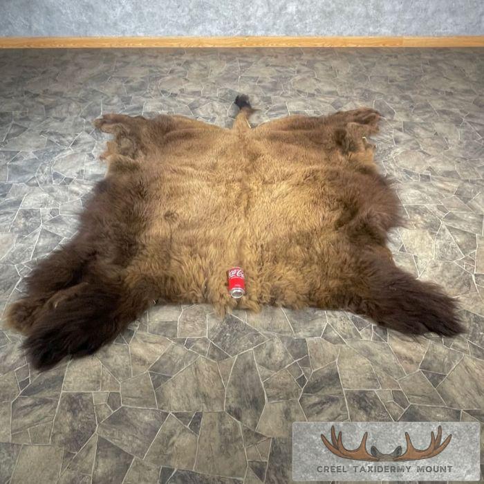 American Buffalo (Bison) Taxidermy Hide For Sale - Image 2