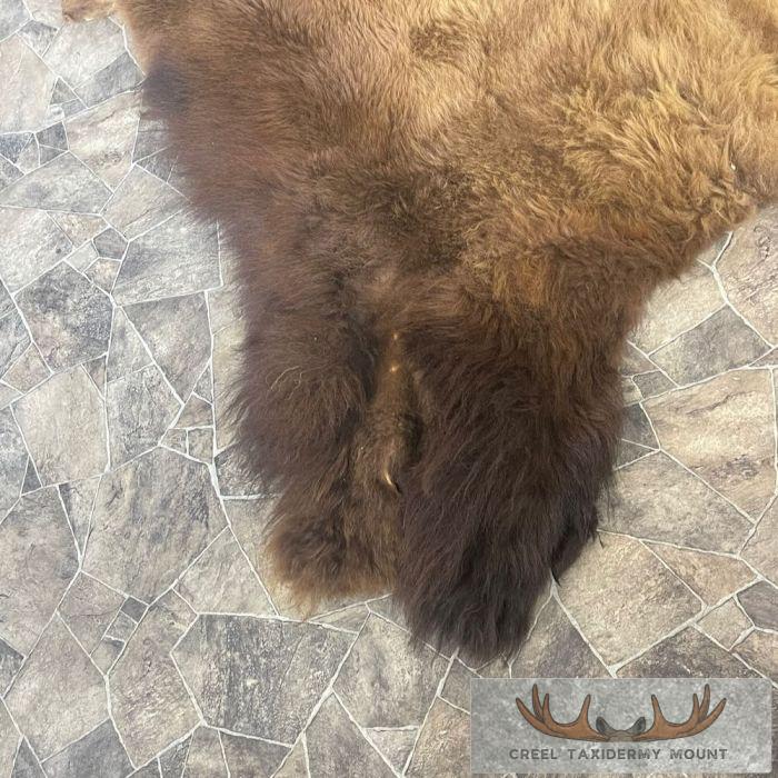 American Buffalo (Bison) Taxidermy Hide For Sale - Image 3