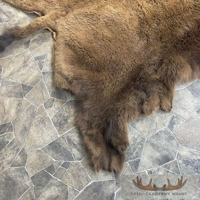 American Buffalo (Bison) Taxidermy Hide For Sale - Image 4