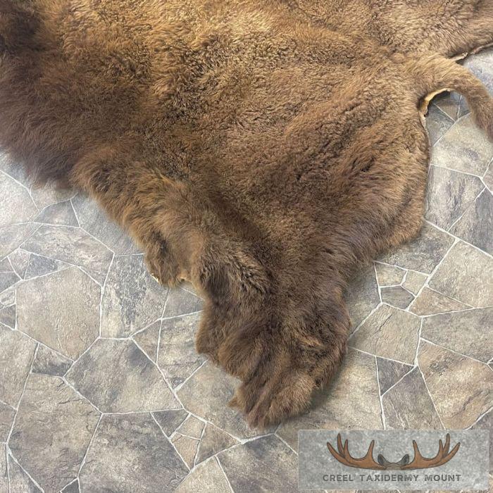 American Buffalo (Bison) Taxidermy Hide For Sale - Image 5