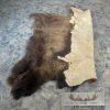 American Buffalo (Bison) Taxidermy Hide For Sale - Image 7