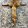 Red Fox Tanned Hide Taxidermy For Sale - Image 4
