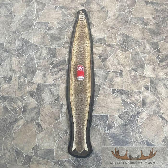 Western Diamondback Rattlesnake Taxidermy Rug For Sale