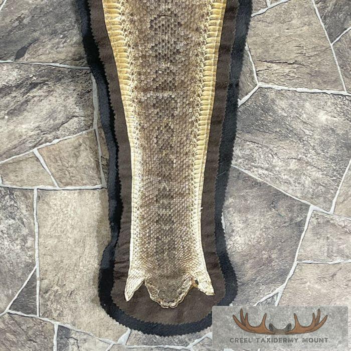 Western Diamondback Rattlesnake Taxidermy Rug For Sale