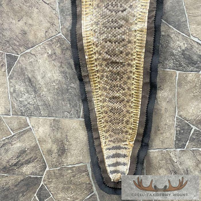 Western Diamondback Rattlesnake Taxidermy Rug For Sale