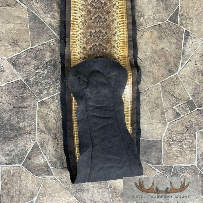 Western Diamondback Rattlesnake Taxidermy Rug For Sale