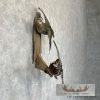 Wood Duck Pair Taxidermy Bird Mount For Sale - Image 5