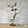 Wood Duck Pair Taxidermy Bird Mount For Sale - Image 4
