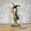 Wood Duck Pair Taxidermy Bird Mount For Sale - Image 7