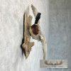 Mallard Duck Drake Taxidermy Mount For Sale - Image 5