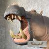 African Hippopotamus Taxidermy Shoulder Mount For Sale - Image 8