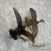 Wood Duck Scene Taxidermy Mount For Sale - Image 4