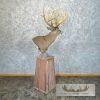 Whitetail Deer Floor Pedestal Taxidermy Mount For Sale - Image 6
