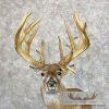 Whitetail Deer Floor Pedestal Taxidermy Mount For Sale - Image 10