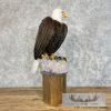 Reproduction Bald Eagle Taxidermy Bird Mount For Sale - Image 7