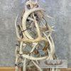 Novelty Whitetail Antler Christmas Tree For Sale - Image 6