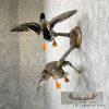 Mallard Drake and Hen Taxidermy Duck Mount For Sale - Image 3