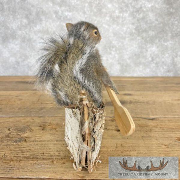 Canoe Squirrel Novelty Taxidermy Mount For Sale - Image 3