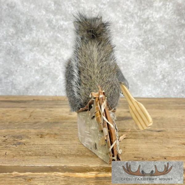 Canoe Squirrel Novelty Taxidermy Mount For Sale - Image 3