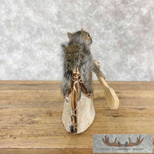 Canoe Squirrel Novelty Taxidermy Mount For Sale - Image 3
