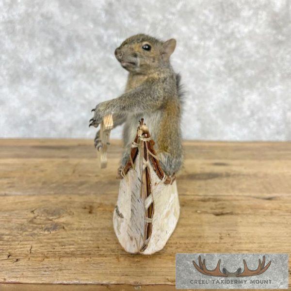 Canoe Squirrel Novelty Taxidermy Mount For Sale - Image 5
