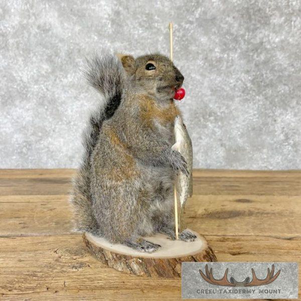 Fishing Squirrel Novelty Taxidermy Mount For Sale - Image 2