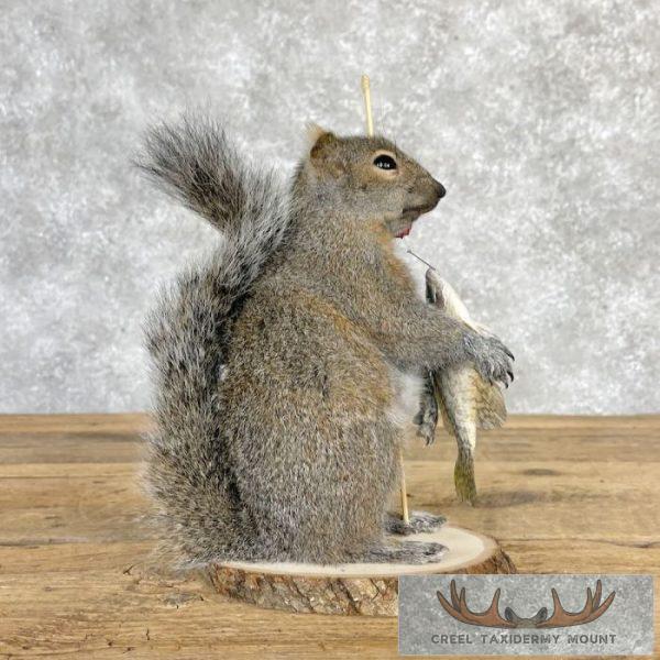 Fishing Squirrel Novelty Taxidermy Mount For Sale - Image 3