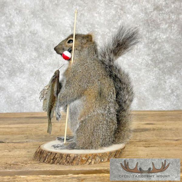 Fishing Squirrel Novelty Taxidermy Mount For Sale - Image 5