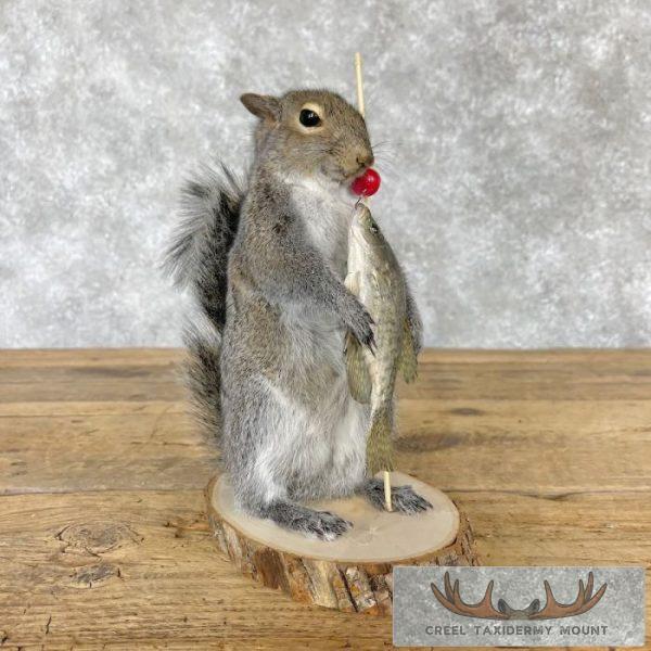 Fishing Squirrel Novelty Taxidermy Mount For Sale - Image 2