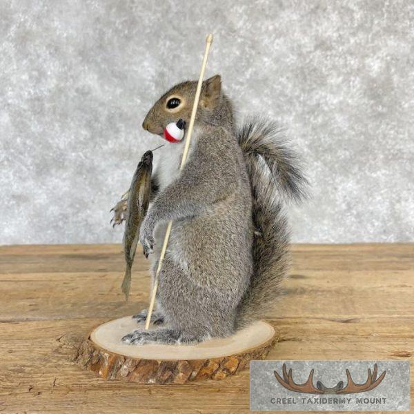 Fishing Squirrel Novelty Taxidermy Mount For Sale - Image 5