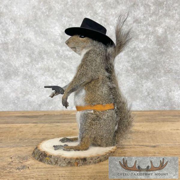 Cowboy Squirrel Novelty Taxidermy Mount For Sale - Image 2