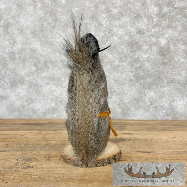 Cowboy Squirrel Novelty Taxidermy Mount For Sale - Image 3