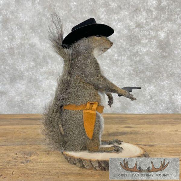 Cowboy Squirrel Novelty Taxidermy Mount For Sale - Image 4