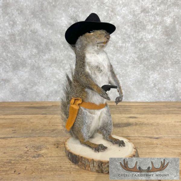 Cowboy Squirrel Novelty Taxidermy Mount For Sale - Image 5