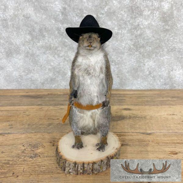 Cowboy Squirrel Novelty Taxidermy Mount For Sale - Image 6