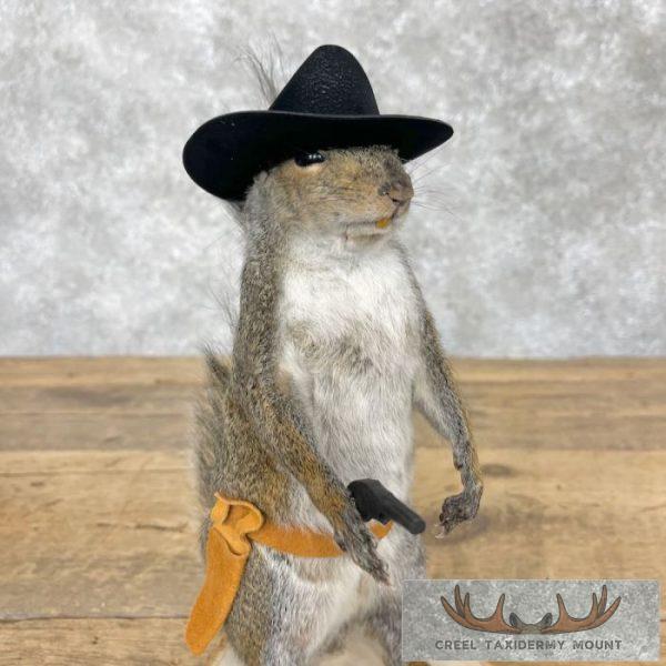 Cowboy Squirrel Novelty Taxidermy Mount For Sale - Image 7