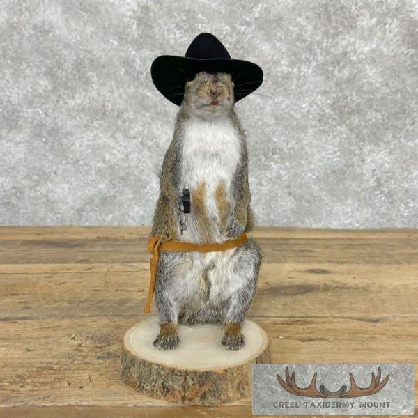 Cowboy Squirrel Novelty Taxidermy Mount For Sale - Image 2