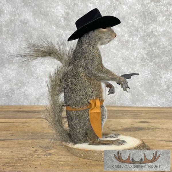 Cowboy Squirrel Novelty Taxidermy Mount For Sale - Image 3