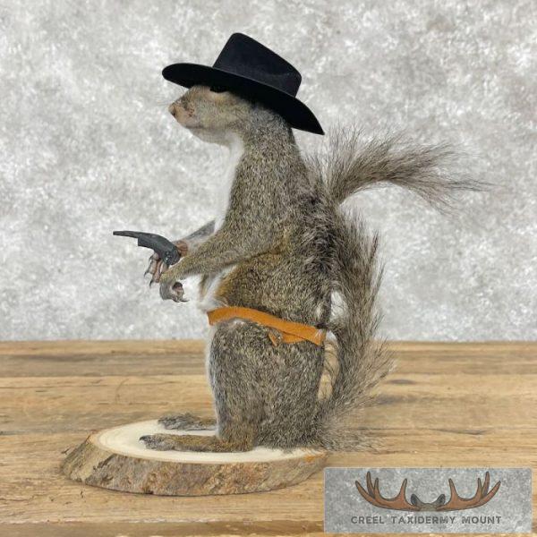Cowboy Squirrel Novelty Taxidermy Mount For Sale - Image 5