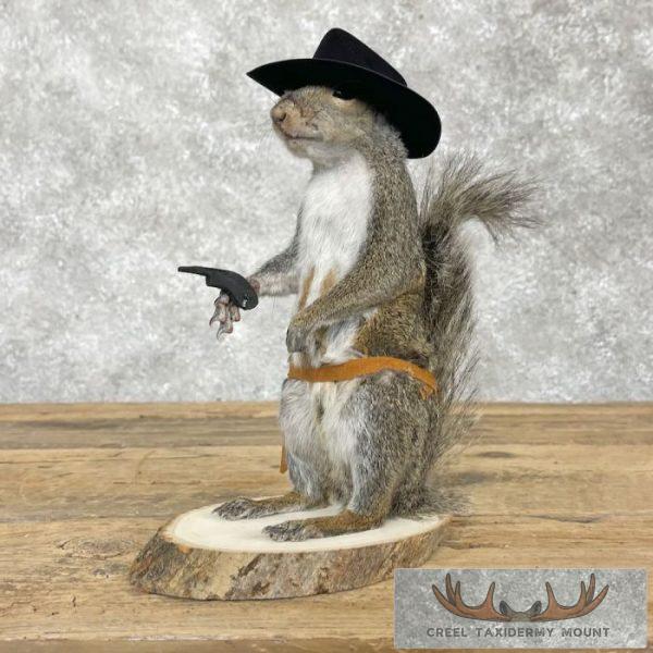 Cowboy Squirrel Novelty Taxidermy Mount For Sale - Image 6