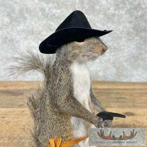 Cowboy Squirrel Novelty Taxidermy Mount For Sale - Image 7
