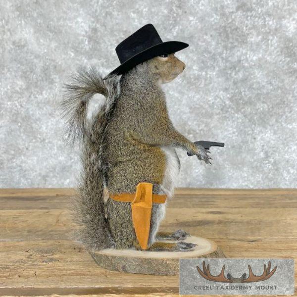 Cowboy Squirrel Novelty Taxidermy Mount For Sale - Image 2