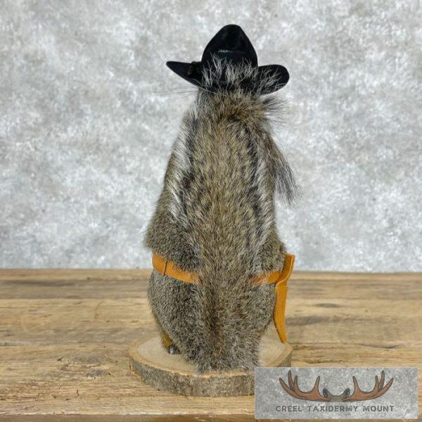 Cowboy Squirrel Novelty Taxidermy Mount For Sale - Image 3