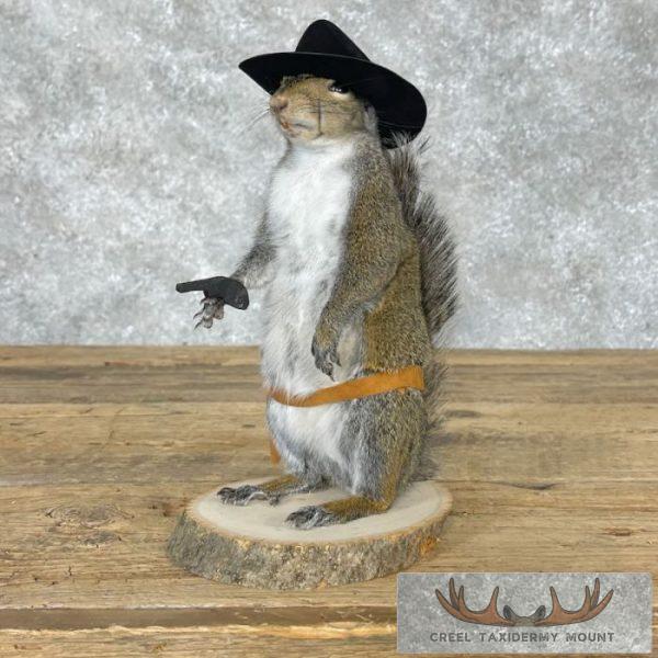 Cowboy Squirrel Novelty Taxidermy Mount For Sale - Image 5