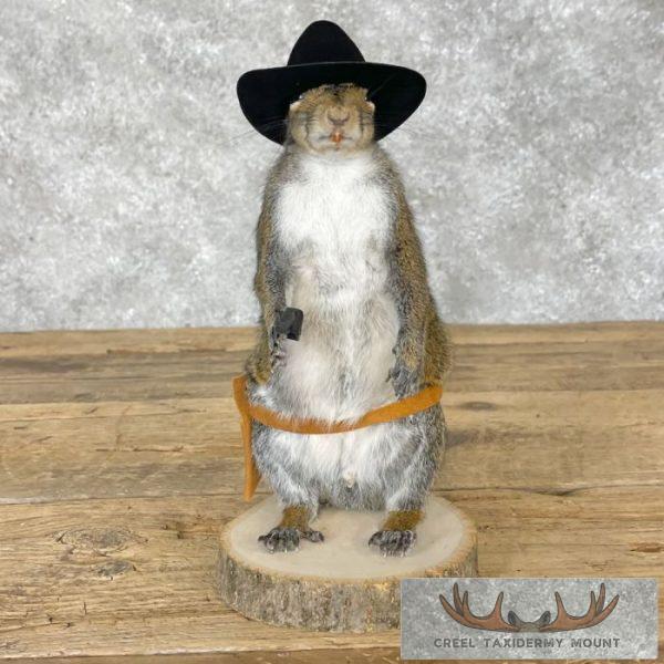 Cowboy Squirrel Novelty Taxidermy Mount For Sale - Image 6